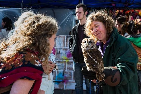 Woman holding owl whilst two other women admire it on Preston Flag Market.